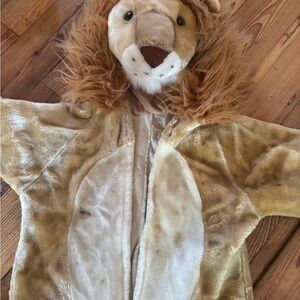 Well designed Lion costume